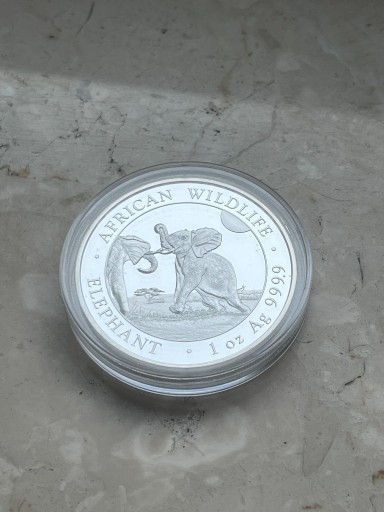 Zdjęcie oferty: Moneta srebrna Słoń Somalijski 2024