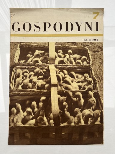 Zdjęcie oferty: Czasopismo Gospodyni nr 7/1966