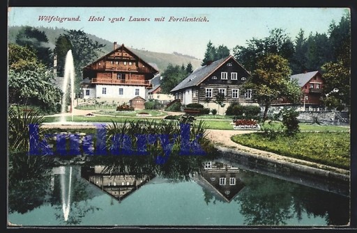Zdjęcie oferty: MIĘDZYGÓRZE Wolfelsgrund Hotel Gute Laune 1910