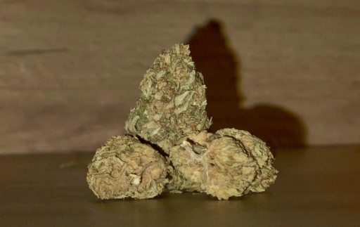 Zdjęcie oferty: CBD Gold Canapa - BZ1 Sativa