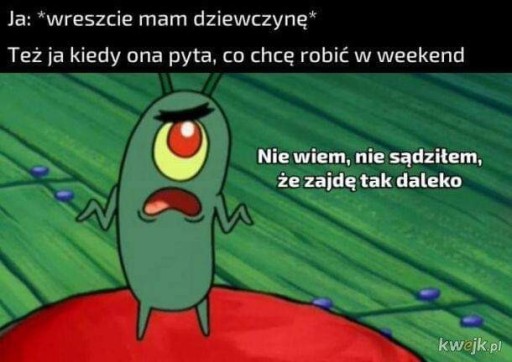 Zdjęcie oferty: Mem