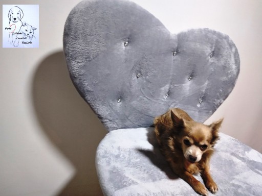 Zdjęcie oferty: Elegancka i wygodna Sofa Legowisko dla psa i kota