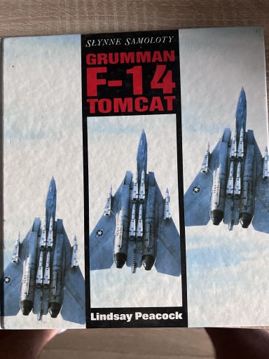 Zdjęcie oferty: Grumman F-14 Tomcat