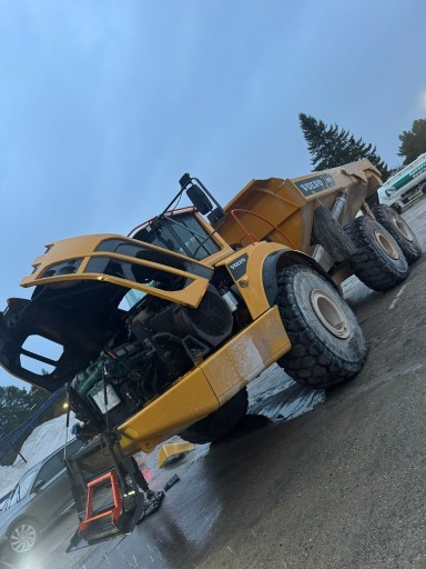 Zdjęcie oferty: VOLVO Usuwanie Wyłączanie Ad blue SCR/DPF/EGR