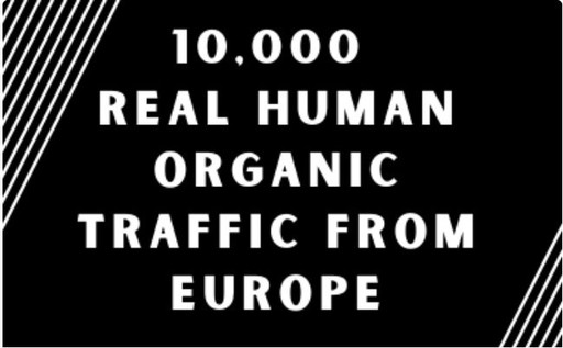 Zdjęcie oferty: Pozycjonowanie 10 000 ruchu Organic z Europy