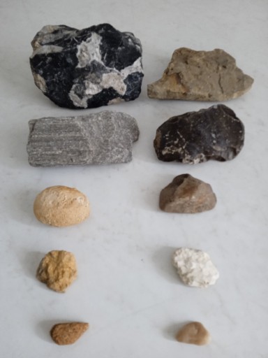 Zdjęcie oferty: 10 skamieniałości  - około 2,6 kg.