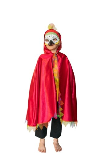 Zdjęcie oferty: Papuga strój peleryna papugi maska