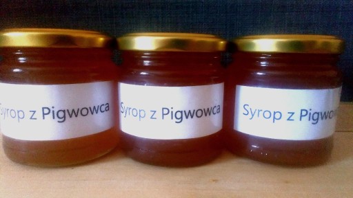 Zdjęcie oferty: Syrop z Pigwowca z Cukrem Trzcinowym, 3 x 200ml.