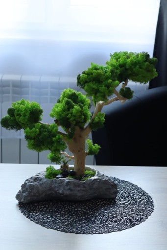 Zdjęcie oferty: Drzewo XL Bonsai Mech Chrobotek Dekoracja Długowieczne Dom Prezent