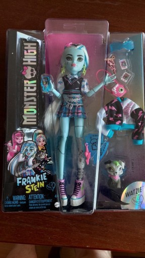 Zdjęcie oferty: Monster High FrankieStein 