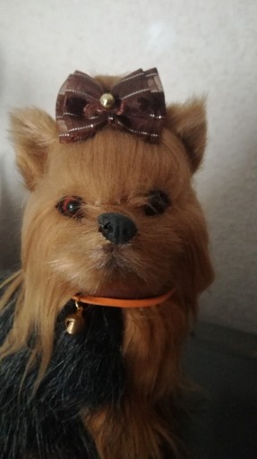 Zdjęcie oferty: Kokardki tiulowe gumki york maltanczyk shih tzu