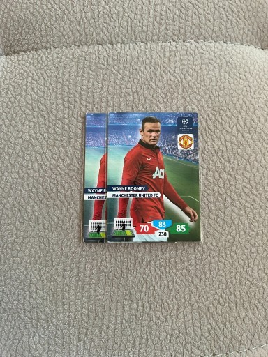 Zdjęcie oferty: Karta Wayne Rooney 13/14