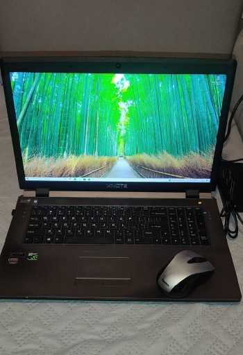 Zdjęcie oferty: Laptop Clevo XNOTE W370ST 17,3 " Intel Core i7 24 GB / 250 GB, GeForce GTX