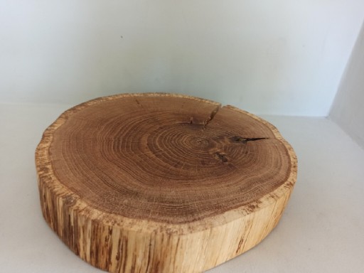 Zdjęcie oferty: Plaster drewna dębowego deska patera dąb