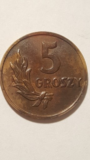 Zdjęcie oferty: 5 groszy 1949r.  Polska  #97