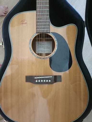 Zdjęcie oferty: Gitara akustyczna Takamine EG530SSC + futerał 