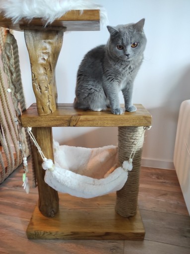 Zdjęcie oferty: Drapak drewniany handmade dla kota