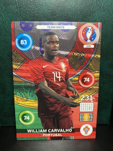 Zdjęcie oferty: WILLIAM CARVALHO - TEAM MATE - EURO 2016 FRANCE