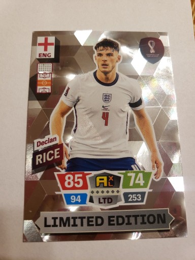 Zdjęcie oferty: Karta FIFA QATAR 2022 limited Rice