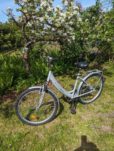 Zdjęcie oferty: Rower damka Alu-Bike Fischer