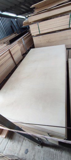 Zdjęcie oferty: SKLEJKA 9mm 244 cm x 122 cm brzozowa ładna DOBRA C