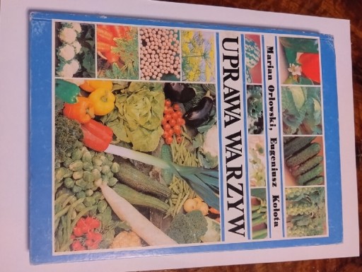 Zdjęcie oferty: Uprawa warzyw orłowaki kołota