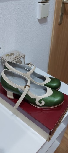 Zdjęcie oferty: Profesjonalne buty do flamenco unikatowe  Zielone