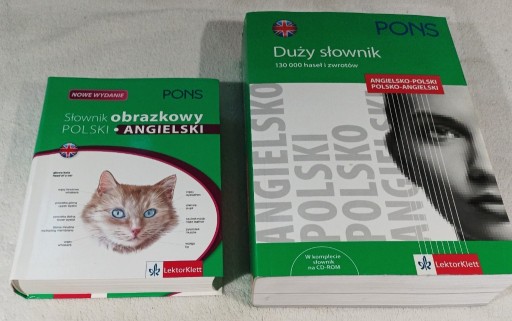 Zdjęcie oferty: SŁOWNIK OBRAZKOWY. POLSKI ANGIELSKI. PONS.