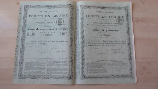 Zdjęcie oferty: Societe anonyme des FORETS EN LIGURIE 1873