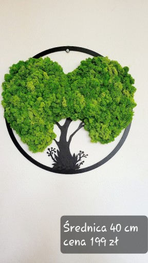 Zdjęcie oferty: Drzewo serce, żywy obraz, mech chrobotek 40 cm
