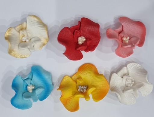 Zdjęcie oferty: Kwiaty z masy cukrowej-orchidea ćmówka