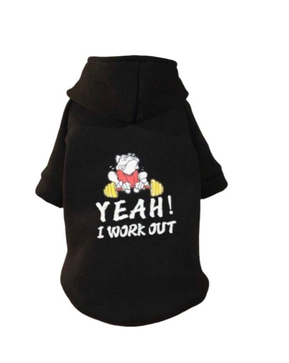 Zdjęcie oferty: Bluza dla psa kota ubranie shih york XS czarna