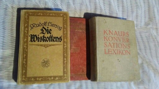 Zdjęcie oferty: Unikatowe książki niemieckie 3 szt. 1911- 1934r. 