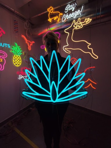 Zdjęcie oferty: LED napis świetlny.Agawa kaktus Neon światła