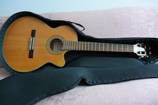 Zdjęcie oferty: Takamine EG562C Akustyk Nylon