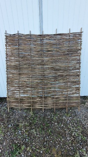Zdjęcie oferty: Płot leszczynowy panel leszczynowy ogrodzenie 