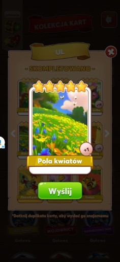 Zdjęcie oferty: POLA KWIATÓW COIN MASTER KARTA