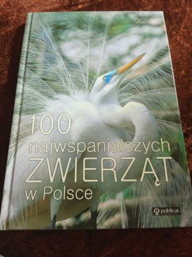 Zdjęcie oferty: Album sto najwspanialszych zwierząt w Polsce nowe