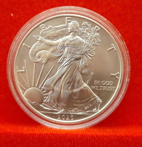 Zdjęcie oferty: Orzel amerykanski 1$ srebrna monetą 2020 r