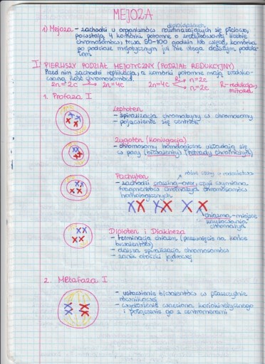 Zdjęcie oferty: NOTATKI MATURALNE Z BIOLOGII cz.1 -3-letnie liceum