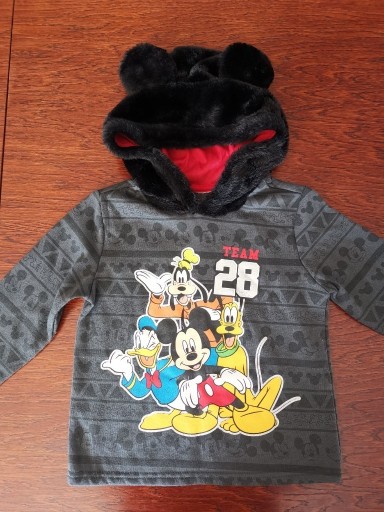 Zdjęcie oferty: Piekna bluza disney, r. 98/104. Super! Stan bdb