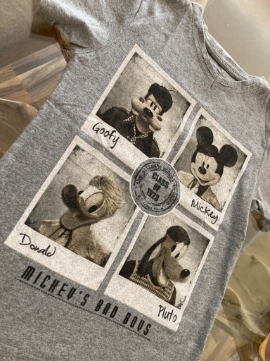 Zdjęcie oferty: USA DISNEYLAND T-shirt Chłopiec 5-6 lat