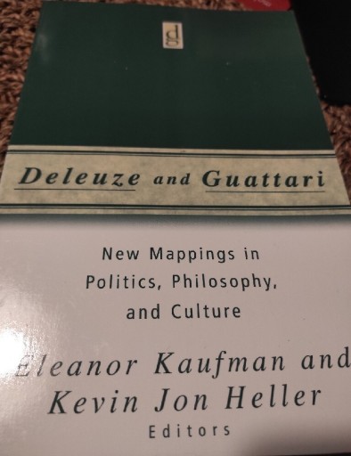 Zdjęcie oferty: NEW MAPPINGS IN POLITICS,PHILOSOPHY,AND CULTURE