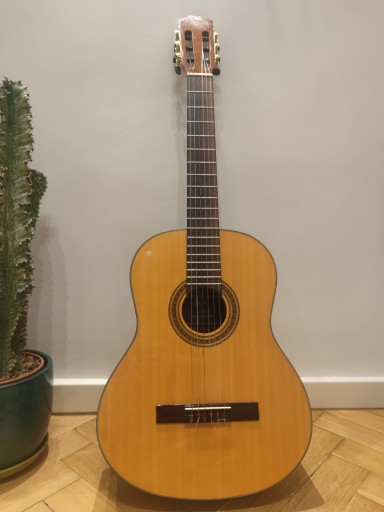 Zdjęcie oferty: Gitara + stroik + pokrowiec