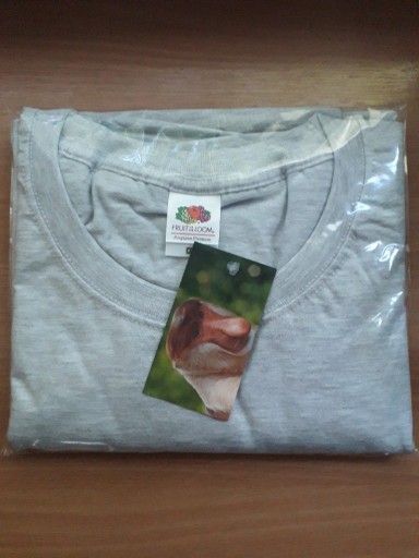 Zdjęcie oferty: Koszulka T-shirt Fruit of the Loom Premium r. XXL