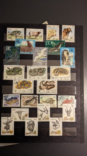 Zdjęcie oferty: Kolekcja znaczków lata 70, 80, 