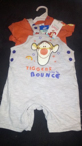 Zdjęcie oferty: NOWE !! Baby koszulka i spodenki Tygrysek Kubuś 
