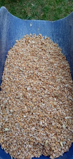 Zdjęcie oferty: Śruta pszenica 2023 gnieciona dla kur 20 kg