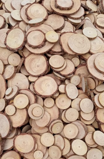 Zdjęcie oferty: Krążki drewna, 200 sztuk, 2-7 cm, plastry drewna