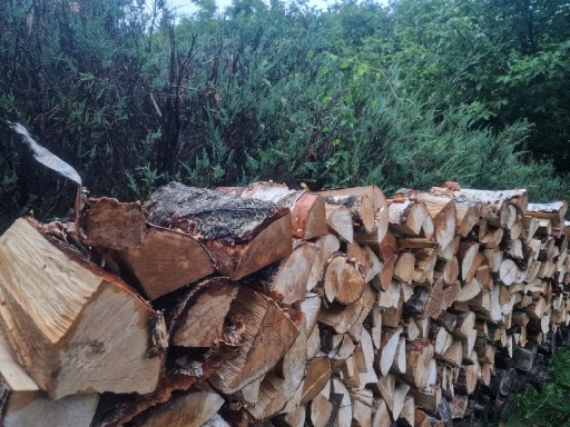 Zdjęcie oferty: Drzewo Drewno kominkowe brzoza cena za 1m³ poukład